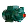 Bomba Periférica Tp-80 1,0 Cv Monofásico Motor Thebe Ip44 127/220v - 1