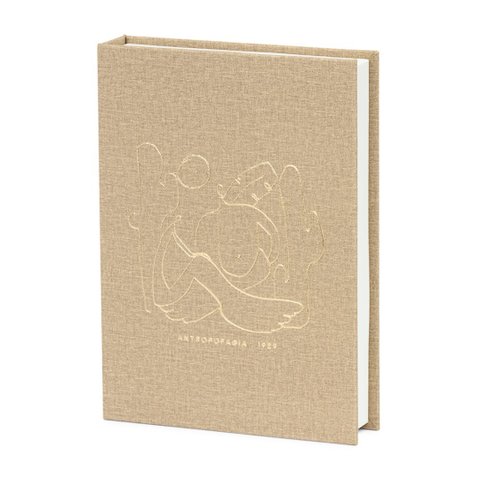 Livro Caixa Decoração 25cm Sala de Estar Estante Decorar Ambiente Porta Joias