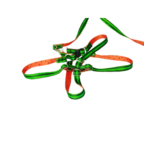 Conjunto Peitoral Ajustável RBPet com Guia - Cães de Mini Porte