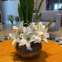 Ver imagem 4 de Arranjo Grande Centro de Mesa Lírio Branco Artificial Completo Decore Fácil Shop