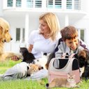 Ver imagem 4 de Mochila Transporte Bolsa Carregar Pet Gato Cachorro Animais Estimaçao Bolso Ventilaçao Vista Panoram