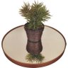 Conjunto Mesa Lateral Cobre em Ferro com Tampo em Vidro - 4