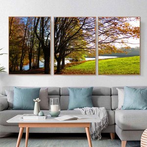 Quadro Canvas Ávore e Rio 90x60