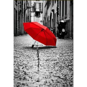 Quadro Esconde Cobrir Caixa de Luz Energia Decoração 44x35 Guarda- Chuva Vermelho