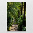 Ver imagem 1 de Quadro Decorativo Vertical In Nature sem Moldura e sem Vidro 40X60