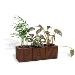 CACHEPOT PARA PLANTA EM PINUS 3 VASOS PAZ - 1