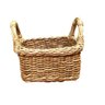Porta sorvete / Condimentos com alça junco natural 22 x 18 x 6 cms - 1