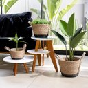 Ver imagem 2 de Cesto de Fibra Natural Seagrass Com Fundo Preto 24,5x31x33 cm - D’Rossi