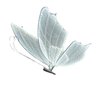 Luminaria Borboleta Led Branco Frio 100cm - 1