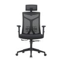 Ver imagem 1 de Cadeira Escritório Presidente NR17 Office Tela Mesh Lugano