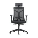 Ver imagem 1 de Cadeira Escritório Presidente NR17 Office Tela Mesh Lugano Preto