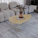 Ver imagem 1 de Mesa de Centro Trude Organica 100% MDF 35cm x 90cm x 60cm Marrom