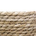 Ver imagem 5 de Cesto de Fibra Natural Seagrass 13,5x21x23 cm - D’Rossi