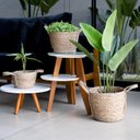 Ver imagem 2 de Cesto de Fibra Natural Seagrass 13,5x21x23 cm - D’Rossi