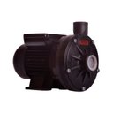 Ver imagem 1 de Bomba Monoestágio Th-16 P 1,0 Cv Rotor 128mm Monofásico Motor Thebe Ip55 127/220-254v