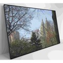 Ver imagem 6 de Quadro árvores Central Park 90x60 Cm Tecido Canvas