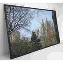 Ver mais imagens de Quadro árvores Central Park 90x60 Cm Tecido Canvas