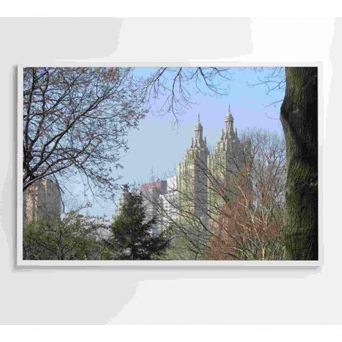Quadro árvores Central Park 90x60 Cm Tecido Canvas