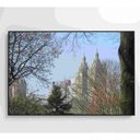 Ver imagem 3 de Quadro árvores Central Park 90x60 Cm Tecido Canvas