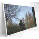 Ver imagem 2 de Quadro árvores Central Park 90x60 Cm Tecido Canvas