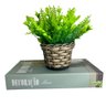 Conjunto decoração livro verde + vaso artesanal trançado - 1