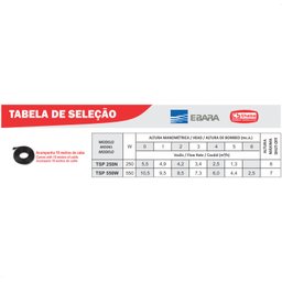Bomba Submersível Tsp-250n 1/3 Cv Monofásico Motor Thebe Ip68 220v - 5
