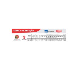 Bomba Monoestágio Tjetf-20 2,0 Cv Monofásico Motor Thebe Ipw66 127/220v - 4