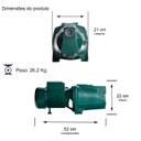 Ver imagem 2 de Bomba Monoestágio Tjetf-20 2,0 Cv Monofásico Motor Thebe Ipw66 127/220v