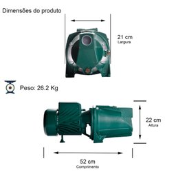 Bomba Monoestágio Tjetf-20 2,0 Cv Monofásico Motor Thebe Ipw66 127/220v - 2