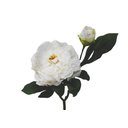 Ver imagem 2 de Flor Permanente Haste Peonia Branca 52cm
