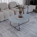 Ver imagem 1 de Mesa de Centro Trude Organica 35cm X 90cm X 60cm