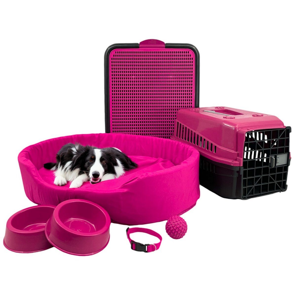 Kit Pet Grande Cama Europa Sanitário Transporte Acessórios - Rosa