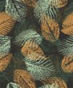 Ver imagem 1 de Papel de Parede Colors Wallpaper - Co 22004 Folhas