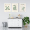 Ver imagem 2 de Kit 3 Quadros Matisse Verde Suave 33x24cm - com Vidro:moldura Branca