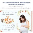 Ver imagem 4 de Lençol Cenário Foto Mêsversário Jardim Minha Estrelinha Lençol Mesversario, Cenário para Foto Mesver