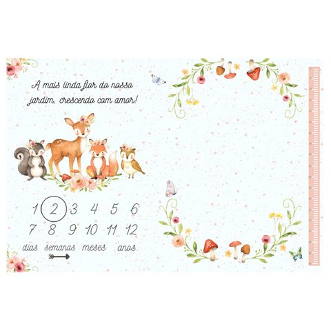 Lençol Cenário Foto Mêsversário Jardim Minha Estrelinha Lençol Mesversario, Cenário para Foto Mesver