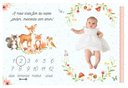 Ver imagem 3 de Lençol Cenário Foto Mêsversário Jardim Minha Estrelinha Lençol Mesversario, Cenário para Foto Mesver