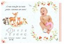 Ver imagem 2 de Lençol Cenário Foto Mêsversário Jardim Minha Estrelinha Lençol Mesversario, Cenário para Foto Mesver