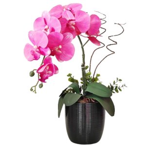 Arranjo Orquídea Real Rosa Delicado Vaso Cerâmica Preto