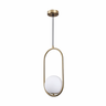 Lustre Pendente Jabuticaba Flórida Moderno 01 Lâmpada E27 Bivolt:Dourado Fosco - 1