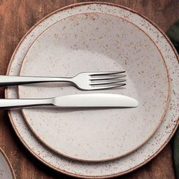 Jogo 12 Pratos Rústicos de Porcelana 25cm Marrom Tramontina Decorado Mesa Posta - 4