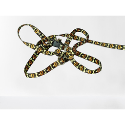 Conjunto Peitoral Ajustável RBPet com Guia - Cães de Mini Porte - 4