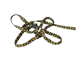 Conjunto Peitoral Ajustável RBPet com Guia - Cães de Mini Porte
