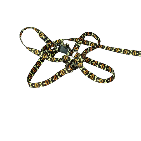 Conjunto Peitoral Ajustável RBPet com Guia - Cães de Mini Porte