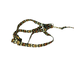 Conjunto Peitoral Ajustável RBPet com Guia - Cães de Mini Porte - 6