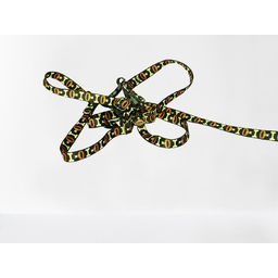 Conjunto Peitoral Ajustável RBPet com Guia - Cães de Mini Porte - 2