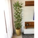 Ver imagem 1 de Kit 10 Buques Galhos Folhagem de Bamboo Decorativos Grande 1.5mt