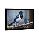 Ver imagem 3 de Quadro Pega-rabuda -- Br Artes