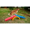 Rampa para Cachorro Escalada Agility Freso - 5