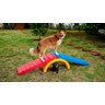 Rampa para Cachorro Escalada Agility Freso - 4